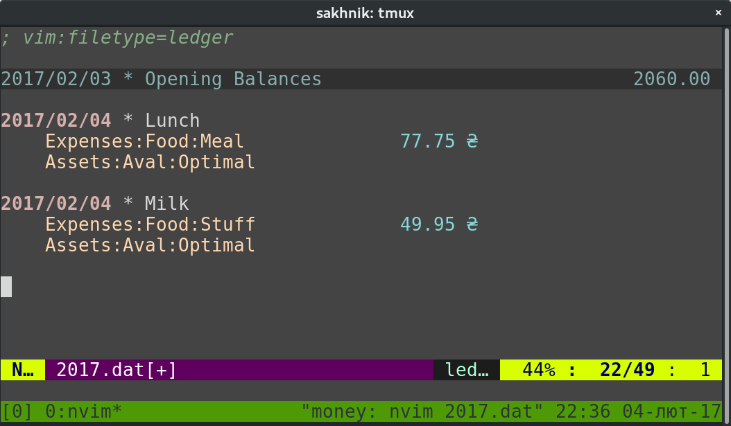 ledger у vim